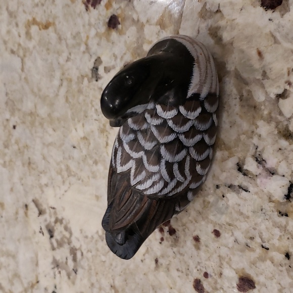 Duck - Picture 3 of 4